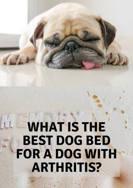 what is the best dog bed for a dog with arthritis